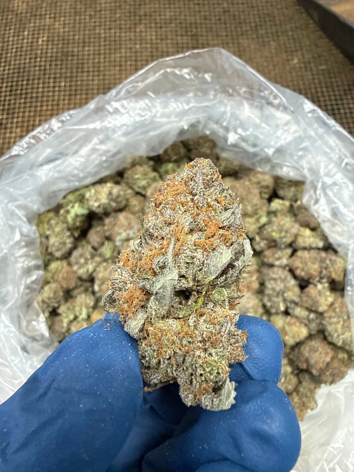 Blackberry Skunk Packaged Flower